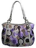 51S6Hjv H5L. SL160  Coach Scarf Print Op Art Signature Alexandra Bag Purse Tote 16230 Lilac Multi Reviews