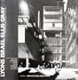 Lyons Israel Ellis Gray: Buildings and Projects 1932-1983