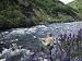 A Fly Fishing Guide Casts His Line Near Coyhaique, Chile Artists Photographic Poster Print, 18x24