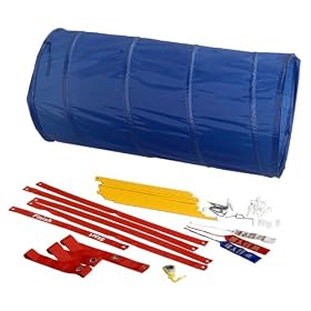 Dog agility training christmas