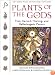 Plants of the Gods: Their Sacred, Healing, and Hallucinogenic Powers