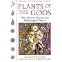 Plants of the Gods: Their Sacred, Healing, and Hallucinogenic Powers