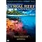 My favorite Movies and Books about Scuba Diving