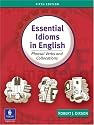 Essential Idioms in English: Phrasal Verbs and Collocations