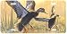 Black Ducks - Wildlife Art Print - License Plate Tag By Hautman Brothers From Airstrike