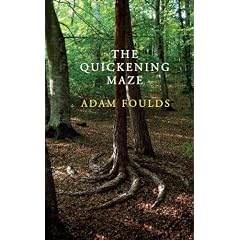 The Quickening Maze