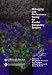 Books : Debugging and Performance Tuning for Parallel Computing Systems