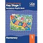 Key Stage 1: Numeracy (Numeracy pupil's books)