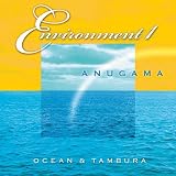 Environment Vol.1