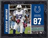 Reggie Wayne Indianapolis Colts 8x10 Color Plaque