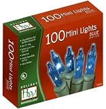 Holiday Wonderland Christmas Light Set, Blue, 100 Mini Lights