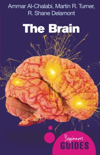 The Brain: A Beginner's Guide (Beginner's Guides)