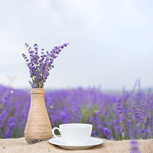 Peppermint Facial Lift -:- Exfoliate &amp; Condition Your Skin + Revitalize Your Mood