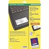 Avery Zweckform, L6012-20, 20 Blatt, Kennzeichen-Etiketten, Typenschild aus Polyester f�r Produkte und Ger�te, 96 x 50, 8 mm