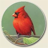 Railbirds Auto Coaster, Single Coaster for Your Car