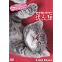 �ӂ�˂��ށ[�с[��1�e!�u�Q��L�v <�����i ����DVD��i!!>