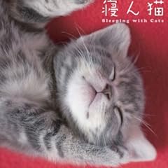 ふわねこむーびー第1弾!「寝ん猫」 <板東寛司 初のDVD作品!!/>