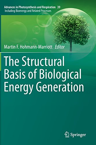 The Structural Basis of Biological Energy Generation (Advances in Photosynthesis and Respiration)