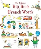 The big book of French words