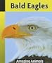 Bald Eagles (Amazing Animals)