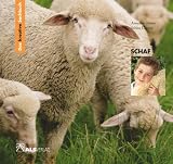 Buch