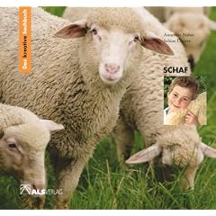 Das kreative Sachbuch Schaf. (Lernmaterialien)