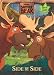 Disney's Brother Bear: Side by Side Disney's Brother Bear: Side by Side
