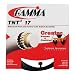 Gamma TNT2 17G Tennis String