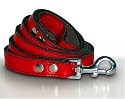 Top Dog 48" X 1" Red Leather Leash