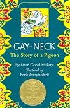 Gay Neck, The Story of a Pigeon