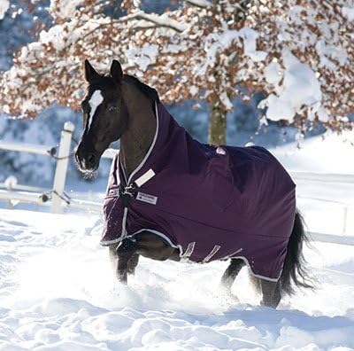 Rambo Wug Turnout - Light Weight - PurpSilvr,72