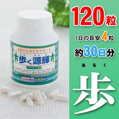 活動的な毎日をサポートします 歩く源輝 120粒