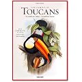 John Gould - Family of Toucans