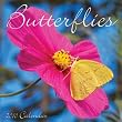 Butterflies 2010 Wall Calendar