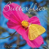 Butterflies 2010 Wall Calendar
