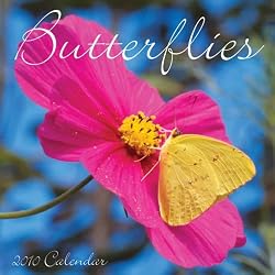 Butterflies 2010 Wall Calendar