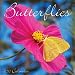 Butterflies 2010 Wall Calendar