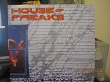 Monkey on a Chain Gang [Vinyl]