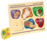 Toys - not a real vendor (test account)