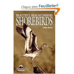 Shorebirds: Beautiful Beachcombers