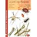 Le jardin des insectes : Les connaitre, favoriser leur pr�sence