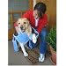 51S7J4M0okL. AA75  Soggy Dog Towel, Large 4 Pocket Navy and Green