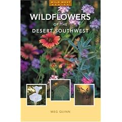Wildflowers of the Desert Southwest