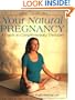 Your Natural Pregnancy: A Guide to Complementary Therapies