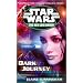 Dark Journey (Star Wars: The New Jedi Order, Book 10)
