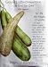 Luffa Gourd Heirloom Seeds