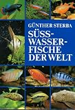 B�cher zum Thema bei Amazon
