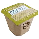 カップが生分解する100%オーガニック栽培キット