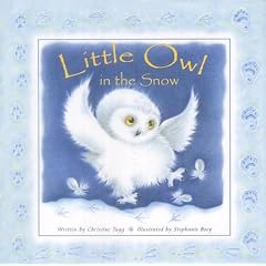 Little Owl in the Snow