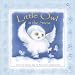 Little Owl in the Snow